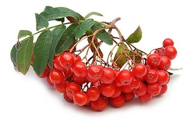 Эликсир для зрения (30 мл)