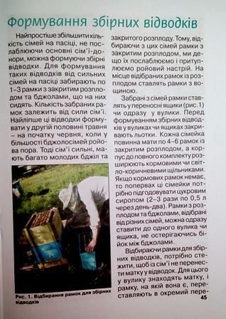 Книга "Як стати пчеловодом"