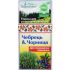 Фіточай "Чебрець і чорниця" (20 пак)